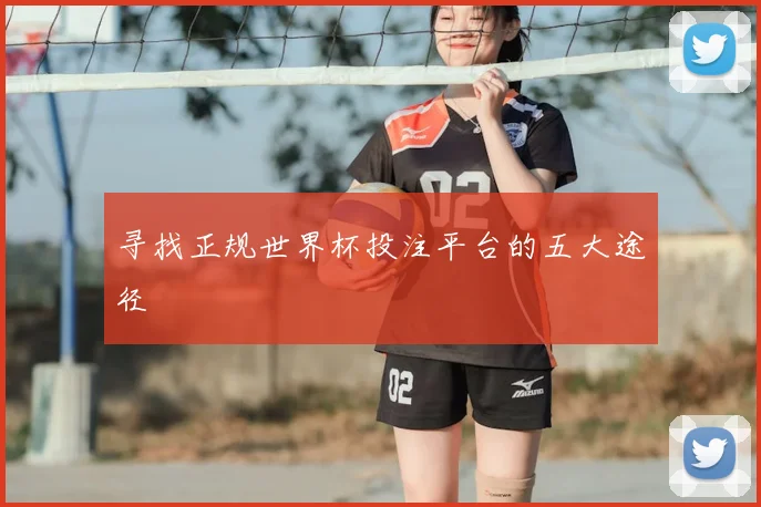 寻找正规世界杯投注平台的五大途径
