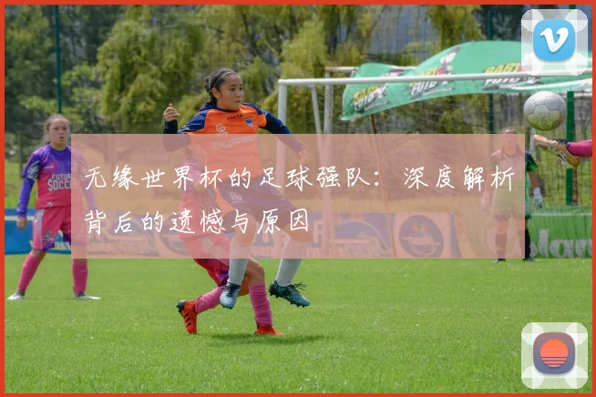 无缘世界杯的足球强队:深度解析背后的遗憾与原因