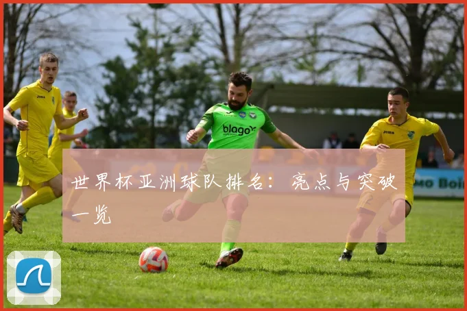 世界杯亚洲球队排名：亮点与突破一览